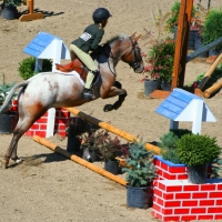 Beaverhead Valley Equestrian Center images 2
