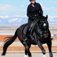 Beaverhead Valley Equestrian Center images 3