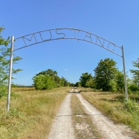 5 Acres Tract 8 Mustang Oaks