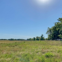 5 Acres Tract 8 Mustang Oaks images 3