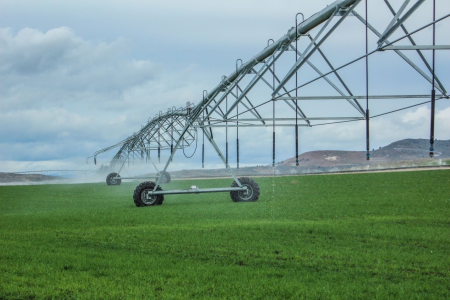 Fotheringham Farm featured image