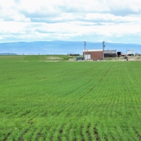 Fotheringham Farm images 6