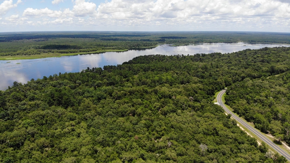 Ocklawaha River Preserve - Parcel 5 featured image