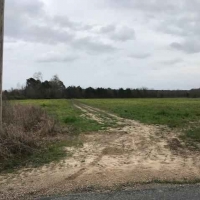 AR - Ashley Toon 156 acres - images 2