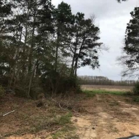 AR - Ashley Toon 156 acres - images 4