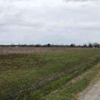 AR - Ashley Toon 156 acres - images 5