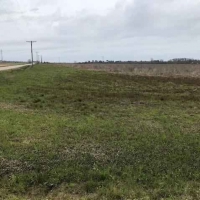AR - Ashley Toon 156 acres - images 6