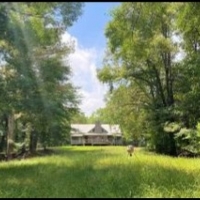 668.5 Acres in Carroll County in Coila MS images 2