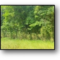 668.5 Acres in Carroll County in Coila MS images 3