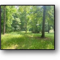 668.5 Acres in Carroll County in Coila MS images 4