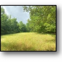 668.5 Acres in Carroll County in Coila MS images 5