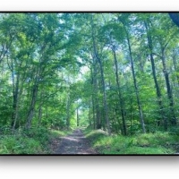 668.5 Acres in Carroll County in Coila MS images 6