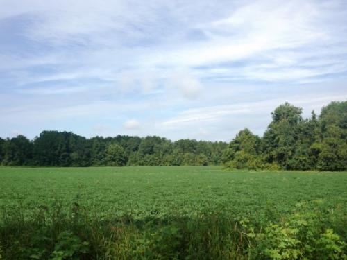Cleary Road featured image