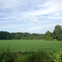 Cleary Road