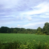 Cleary Road images 2