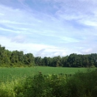 Cleary Road images 3