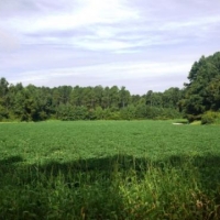 Cleary Road images 4