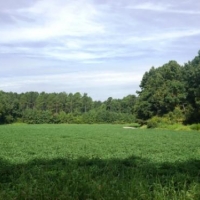 Cleary Road images 5