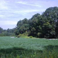 Cleary Road images 6