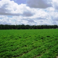 Rad Denmark Farm images 4