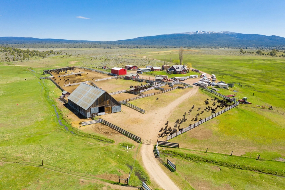 BK Ranch featured image