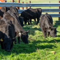 BK Ranch images 5