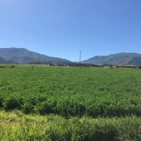 4K Quarter Circle Ranch images 2