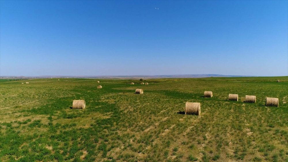 Mountain Gate Ranch featured image