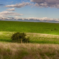 Mountain Gate Ranch images 4