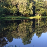 19.27 Acres in Pontotoc County in Pontotoc MS