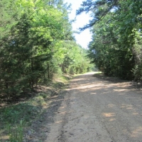 19.27 Acres in Pontotoc County in Pontotoc MS images 2