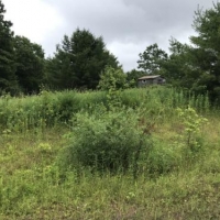 5 acres Catskill Mountain Views Stamford NY images 4