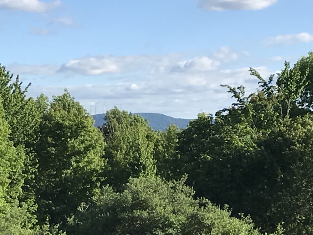 5 acres Catskill Mountain Views Stamford NY featured image