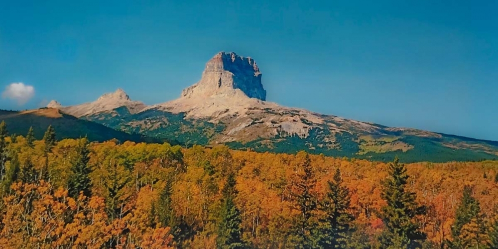 Chief Mountain Ranch featured image