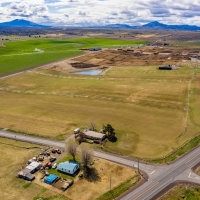 Greens Feedlot images 2