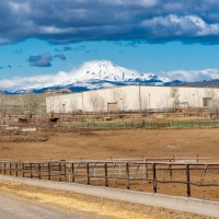 Greens Feedlot images 4