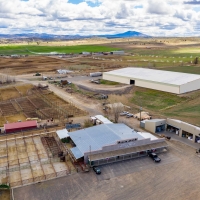 Greens Feedlot images 5