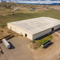 Greens Feedlot images 6