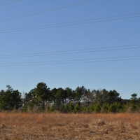 256 Acres Hopewell Forest images 4