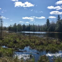 90 acre Prime Adirondack Hunting Land Hopkinton NY images 6