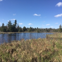 90 acre Prime Adirondack Hunting Land Hopkinton NY