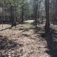 90 acre Prime Adirondack Hunting Land Hopkinton NY images 3