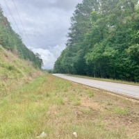 20 Acres MS Timberland Hunting Property for Sale SW MS images 5
