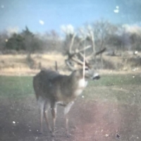 OK - Ellis Brown Rolfe 463 acres - images 2