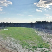 125 Acres Timberland Bordering National Forest Amite Co MS images 3