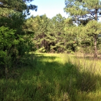 04-014-cawthon-farm images 4
