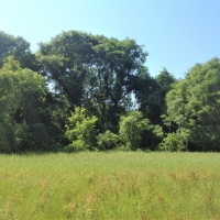 04-014-cawthon-farm images 5