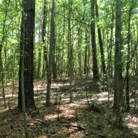 04-014-cawthon-farm images 6