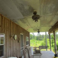 LA - Catahoula Wilson 150 acres - images 4