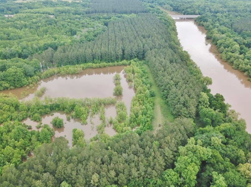 180 Acres Land for Sale on the Pearl River Monticello MS featured image